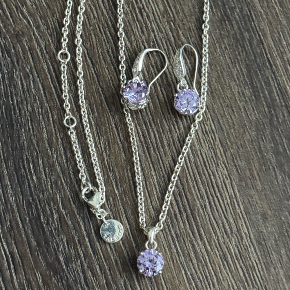 Talbots. Elegant Silver and Purple Jewelry Set.